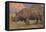 Charging Indian Rhinoceros-null-Framed Stretched Canvas