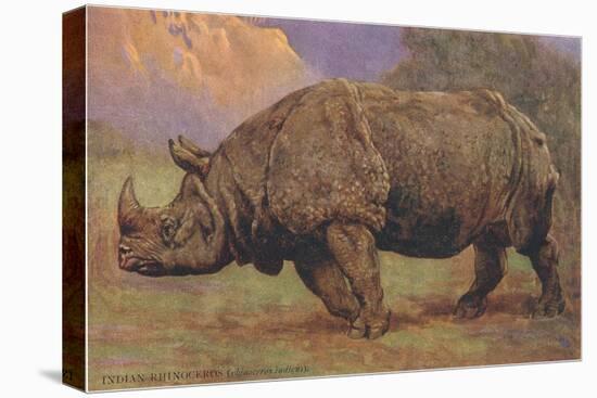 Charging Indian Rhinoceros-null-Stretched Canvas