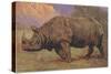 Charging Indian Rhinoceros-null-Stretched Canvas