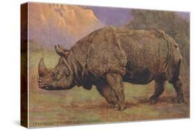 Charging Indian Rhinoceros-null-Stretched Canvas