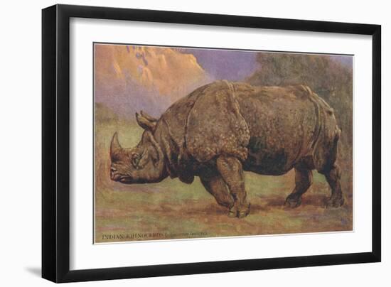 Charging Indian Rhinoceros-null-Framed Art Print