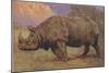 Charging Indian Rhinoceros-null-Mounted Art Print