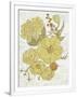 Gramercy White