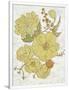 Gramercy White