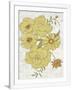 Gramercy White