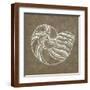 Brown Frame