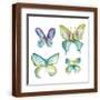 Brown Frame