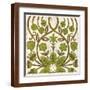 Brown Frame
