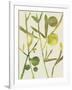 Gramercy White