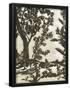 Essential Black
