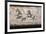 Charioteer and Horses, Painted Tomb Slab Detail, National Archaeological Museum-Eleanor Scriven-Framed Photographic Print