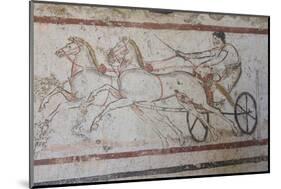 Charioteer and Horses, Painted Tomb Slab Detail, National Archaeological Museum-Eleanor Scriven-Mounted Photographic Print