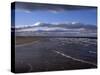 Chariots of Fire Beach, St. Andrews, Fife, Scotland, United Kingdom-Michael Jenner-Stretched Canvas