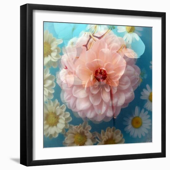 Charismatic Soft Pink Dahlia with Orchid and Daisy-Alaya Gadeh-Framed Photographic Print