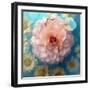 Charismatic Soft Pink Dahlia with Orchid and Daisy-Alaya Gadeh-Framed Photographic Print