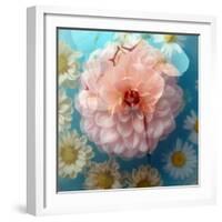 Charismatic Soft Pink Dahlia with Orchid and Daisy-Alaya Gadeh-Framed Photographic Print