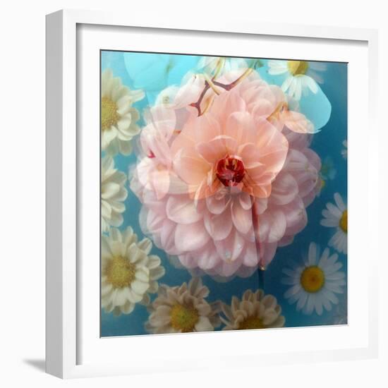 Charismatic Soft Pink Dahlia with Orchid and Daisy-Alaya Gadeh-Framed Photographic Print