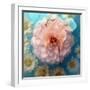 Charismatic Soft Pink Dahlia with Orchid and Daisy-Alaya Gadeh-Framed Photographic Print