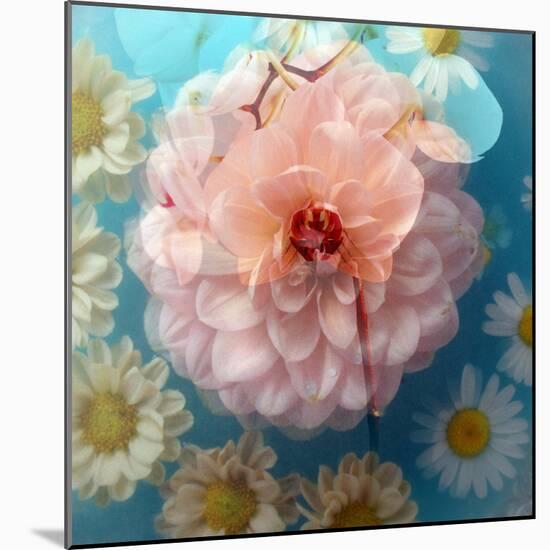 Charismatic Soft Pink Dahlia with Orchid and Daisy-Alaya Gadeh-Mounted Photographic Print