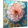 Charismatic Soft Pink Dahlia with Orchid and Daisy-Alaya Gadeh-Mounted Photographic Print