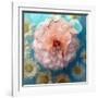 Charismatic Soft Pink Dahlia with Orchid and Daisy-Alaya Gadeh-Framed Photographic Print