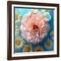 Charismatic Soft Pink Dahlia with Orchid and Daisy-Alaya Gadeh-Framed Photographic Print