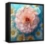Charismatic Soft Pink Dahlia with Orchid and Daisy-Alaya Gadeh-Framed Stretched Canvas