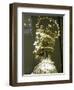 Charlemagne-null-Framed Giclee Print