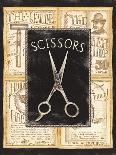 Grooming Scissors-Charlene Audrey-Art Print