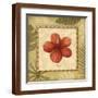 Brown Frame