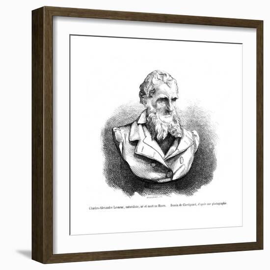 Charles-Alex. Lesueur-null-Framed Giclee Print