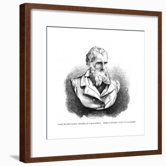 Charles-Alex. Lesueur-null-Framed Giclee Print