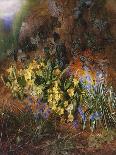 Spring Flowers on a Mossy Bank-Charles Archer-Giclee Print