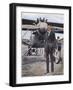 Charles Augustus Lindbergh with the Spirit of St. Louis-null-Framed Art Print