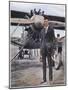 Charles Augustus Lindbergh with the Spirit of St. Louis-null-Mounted Art Print