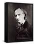 Charles Baudelaire-Nadar-Framed Stretched Canvas