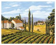 View of the Valley-Charles Berry-Mounted Art Print