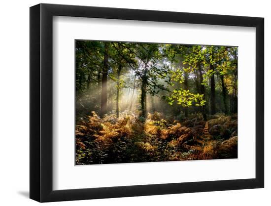 Photographic Print, , large