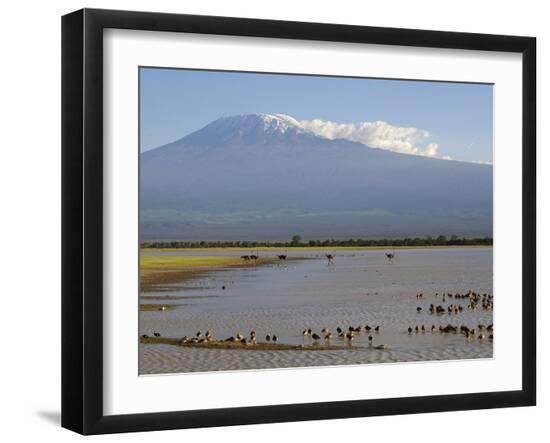 Premium Photographic Print, , large