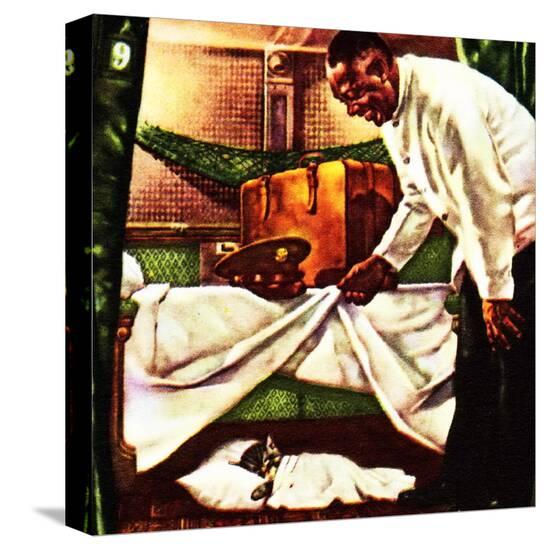 Stretched Canvas Print, , large