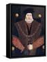 Charles Brandon, 1st Duke of Suffolk-null-Framed Stretched Canvas