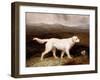 Charles Brett's White English Setter 'sam' in a Moorland Landscape, 1836-Abraham Cooper-Framed Giclee Print