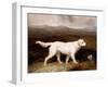 Charles Brett's White English Setter 'sam' in a Moorland Landscape, 1836-Abraham Cooper-Framed Giclee Print