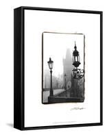 Charles Bridge in Morning Fog I-Laura Denardo-Framed Stretched Canvas