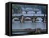 Charles Bridge on the Vltava River, Prague, Czech Republic-Kim Hart-Framed Stretched Canvas