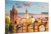 Charles bridge Prague Checkia-null-Mounted Art Print