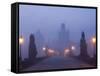 Charles Bridge, Prague, Czech Republic-Peter Adams-Framed Stretched Canvas