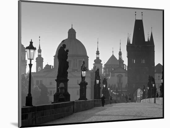 Charles Bridge, Prague, Czech Republic-Walter Bibikow-Mounted Premium Photographic Print