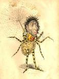 Spider 1873 'Missing Links' Parade Costume Design-Charles Briton-Framed Giclee Print