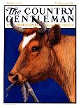 "Elk at Sunset," Country Gentleman Cover, January 6, 1923-Charles Bull-Giclee Print